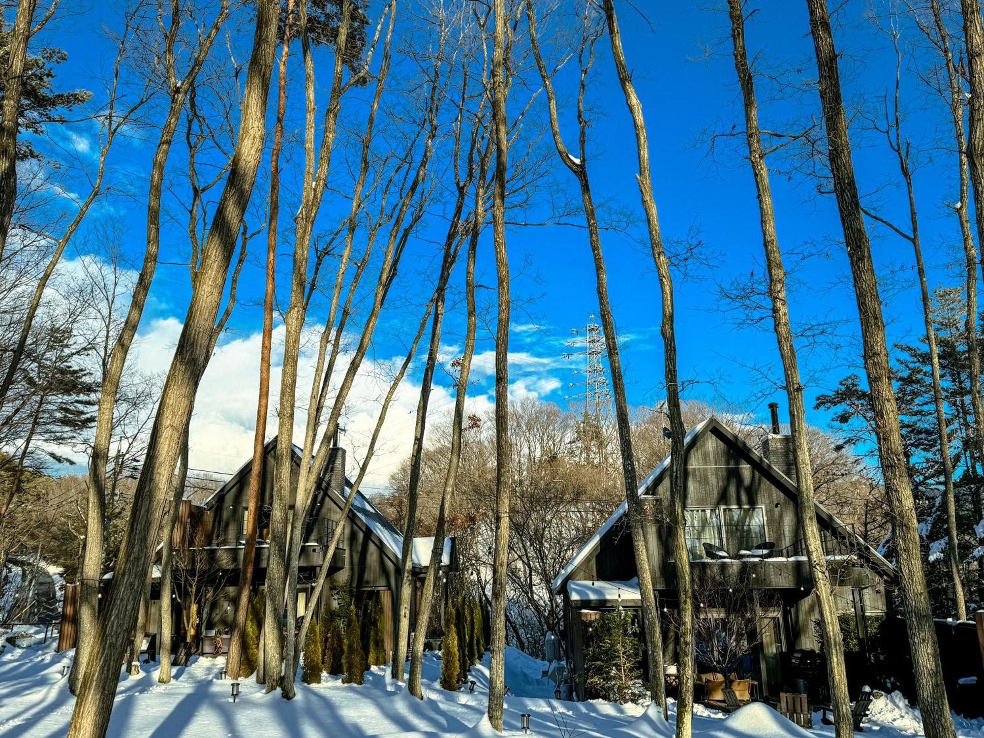 Sauna Forest Cabin 軽井沢 御代田　Mori-Asobi Oiwake Eksteriør billede