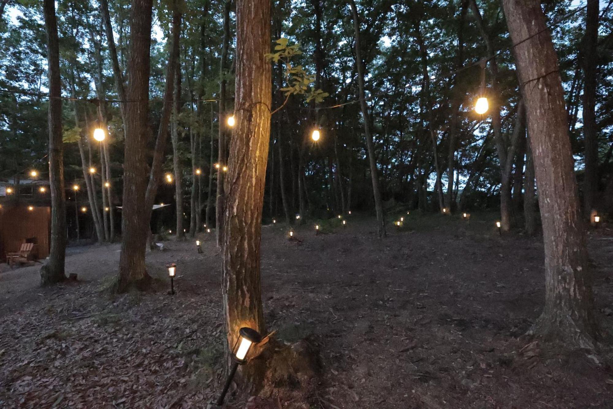 Sauna Forest Cabin 軽井沢 御代田　Mori-Asobi Oiwake Eksteriør billede